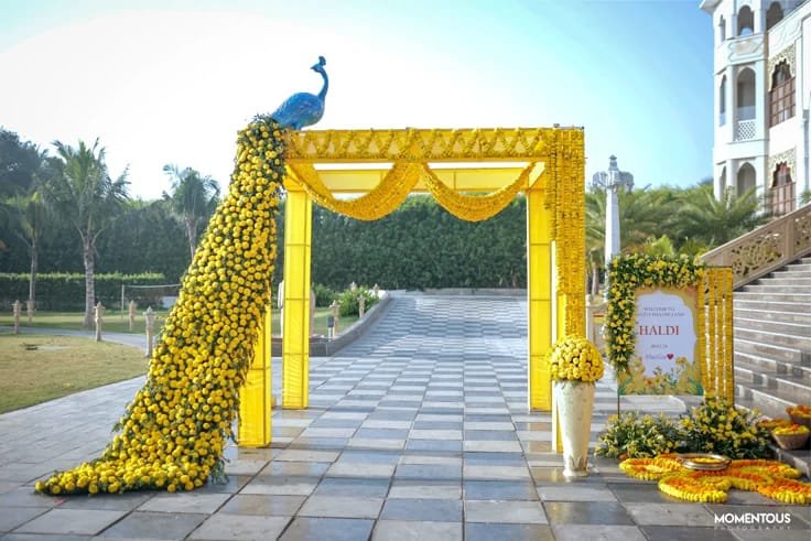 Yellow marigold haldi entrance with peacock floral installation